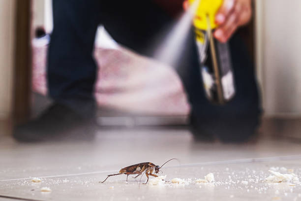 Pest Control Cost in Belvedere, CA